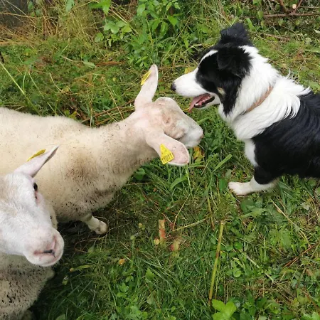 Maison A Colombages - Cosy, Lumineuse Et Sauna Kesseldorf