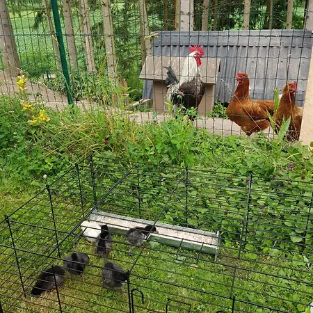 Alpehytte Maison A Colombages - Cosy, Lumineuse Et Sauna Kesseldorf