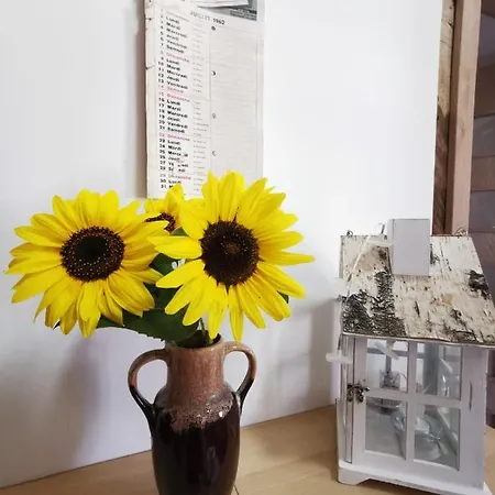 Maison A Colombages - Cosy, Lumineuse Et Sauna Kesseldorf