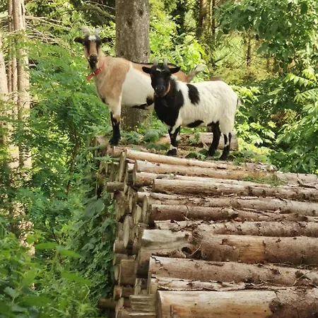 Maison A Colombages - Cosy, Lumineuse Et Sauna Kesseldorf
