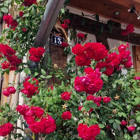 Maison A Colombages - Cosy, Lumineuse Et Sauna